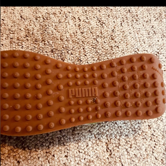 Puma multicolor - Picture 2 of 3